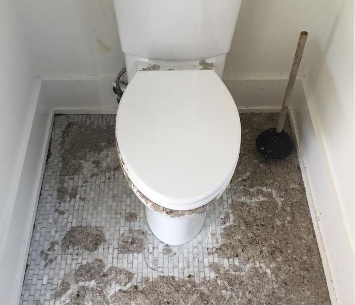 Toilet on tile floor with sewage